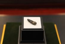 First discovery of dinosaur fossils in Malaysia