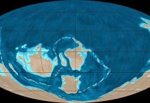 Cambrian Period