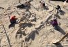 Chile’s stunning fossil whale graveyard explained