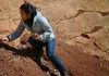The dinosaurs’ demise up close