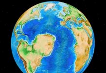 What sculpted Africa’s margin?