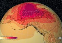 Long-term warming likely to be significant despite recent slowdown