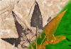 Million suns shed light on fossilized plant
