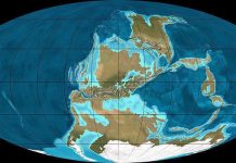 Carboniferous Period