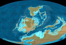 Devonian Period
