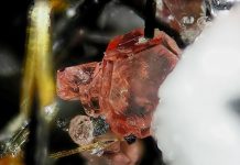 Eudialyte