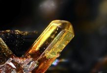 Fluorapatite
