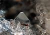 Forsterite