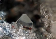 Forsterite