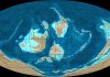 Ordovician period