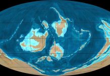 Ordovician period