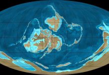 Silurian period