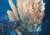 Deep-sea mining projects land in hot water