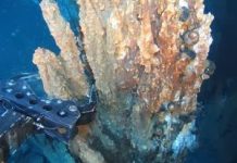 Deep-sea mining projects land in hot water