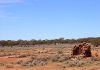 Geologists study Yilgarn’s western crust