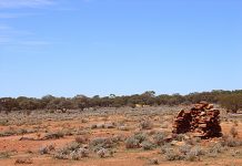 Geologists study Yilgarn’s western crust