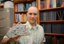 Counting calories in the fossil record