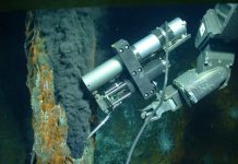 Study tests theory that life originated at deep sea vents
