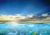 Reef fish arrived in two waves, before and after mass extinction 66 million years ago