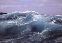 Climate paradox deciphered from the Miocene era