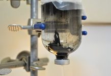New study outlines ‘water world’ theory of life’s origins