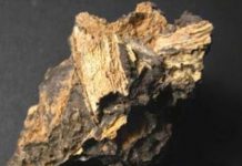 Impact glass from asteroids and comets stores biodata for millions of years