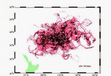 Predicting drift of floating pumice ‘islands’ can benefit shipping