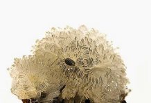 Hemimorphite