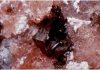 Hetaerolite