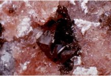Hetaerolite