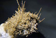 Hornblende