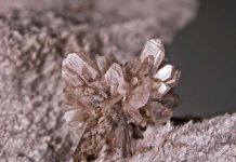 Howlite