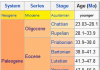 Paleocene Epoch