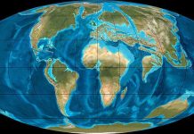 Paleogene Period