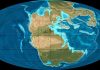 Triassic Period