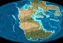 Triassic Period