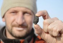 Risk of asteroid hitting Earth higher than thought, study shows