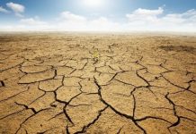 Atmospheric boundary layer exacerbated mega heat waves