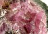 Hodgkinsonite