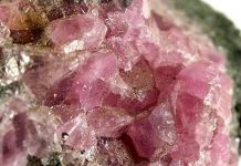 Hodgkinsonite