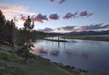 Scientists dismiss claims that Yellowstone volcano about to erupt