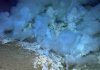 Undersea warfare: Viruses hijack deep-sea bacteria at hydrothermal vents