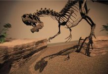 Revealing the healing of ‘dino-sores’