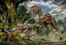 Newly found dinosaur is long-nosed cousin of Tyrannosaurus rex