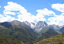 New ways for understanding the link between the uplift of the Tibetan Plateau and species diversity