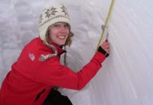 Climate change, forest fires drove widespread surface melting of Greenland ice sheet