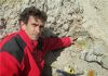Fossils prove useful in analyzing million year old cyclical phenomena