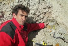 Fossils prove useful in analyzing million year old cyclical phenomena