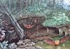 Ancient giant sperm discovered at Riversleigh World Heritage Fossil Site
