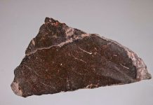 Iron